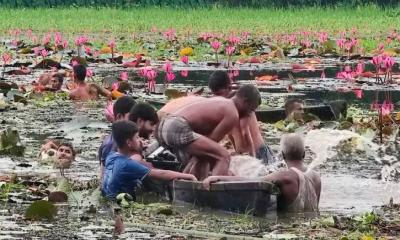 গাজীপুরে শাপলা বিলে ঘুরতে গিয়ে প্রাণ গেল দুজনের