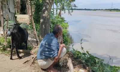 নদীর গর্ভে শৈলকুপার বড়ুরিয়া, বিলীন হচ্ছে ঘরবাড়ি-ভিটেমাটি