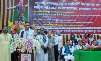 স্বাধীনতা বিরোধীদের ষড়যন্ত্র: সতর্ক থাকার আহ্বান আমিনুল হকের।