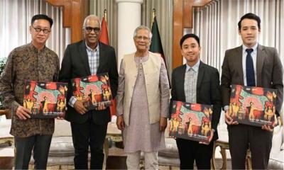 রোহিঙ্গা সংকট সমাধানে নতুন সম্মেলন আয়োজনের প্রস্তাব এপিএইচআরের