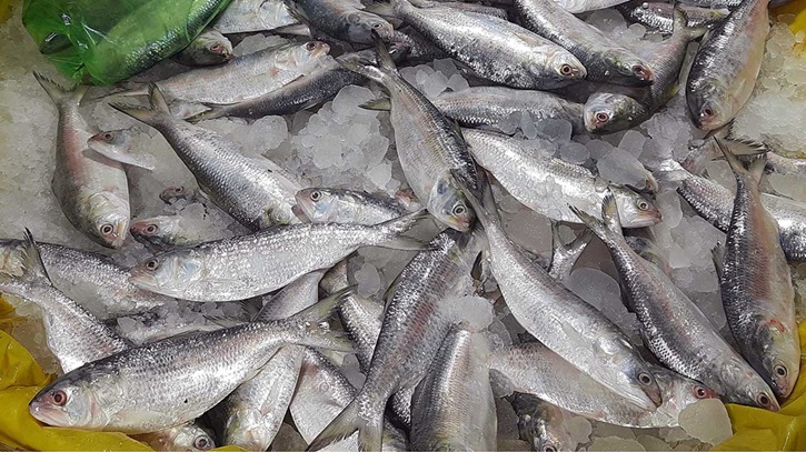 শেষ সময়ে কেবি বাজারে চড়া দামে ইলিশ বিক্রি, হতাশ ক্রেতারা