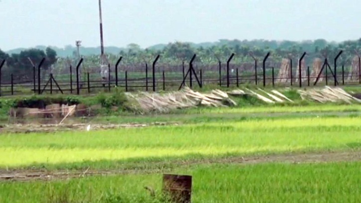 চুয়াডাঙ্গা সীমান্ত থেকে বাংলাদেশিকে ধরে নিয়ে গেছে বিএসএফ