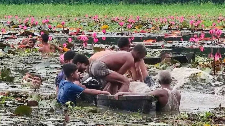 গাজীপুরে শাপলা বিলে ঘুরতে গিয়ে প্রাণ গেল দুজনের