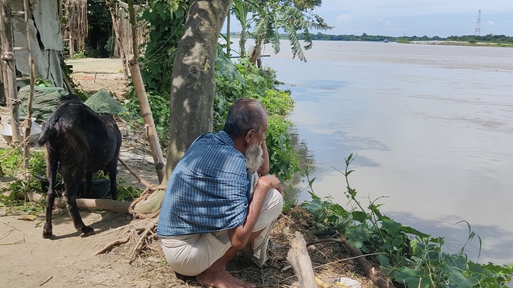 নদীর গর্ভে শৈলকুপার বড়ুরিয়া, বিলীন হচ্ছে ঘরবাড়ি-ভিটেমাটি