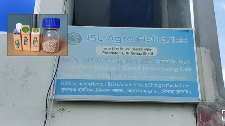 মাছের মাথায় ‘সোনার খনি’,  লাখ টাকায় বিক্রি করেন যশোরের নেওয়াজ