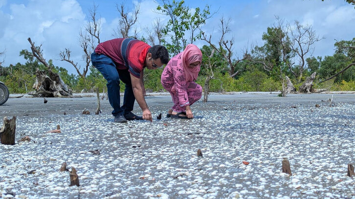 সাদা ঝিনুকের গালিচায় সেজেছে কুয়াকাটা সৈকত, মুগ্ধ পর্যটকরা